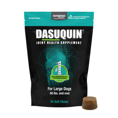 Nutramax Dasuquin large dogs soft chews in tube for easy daily use.