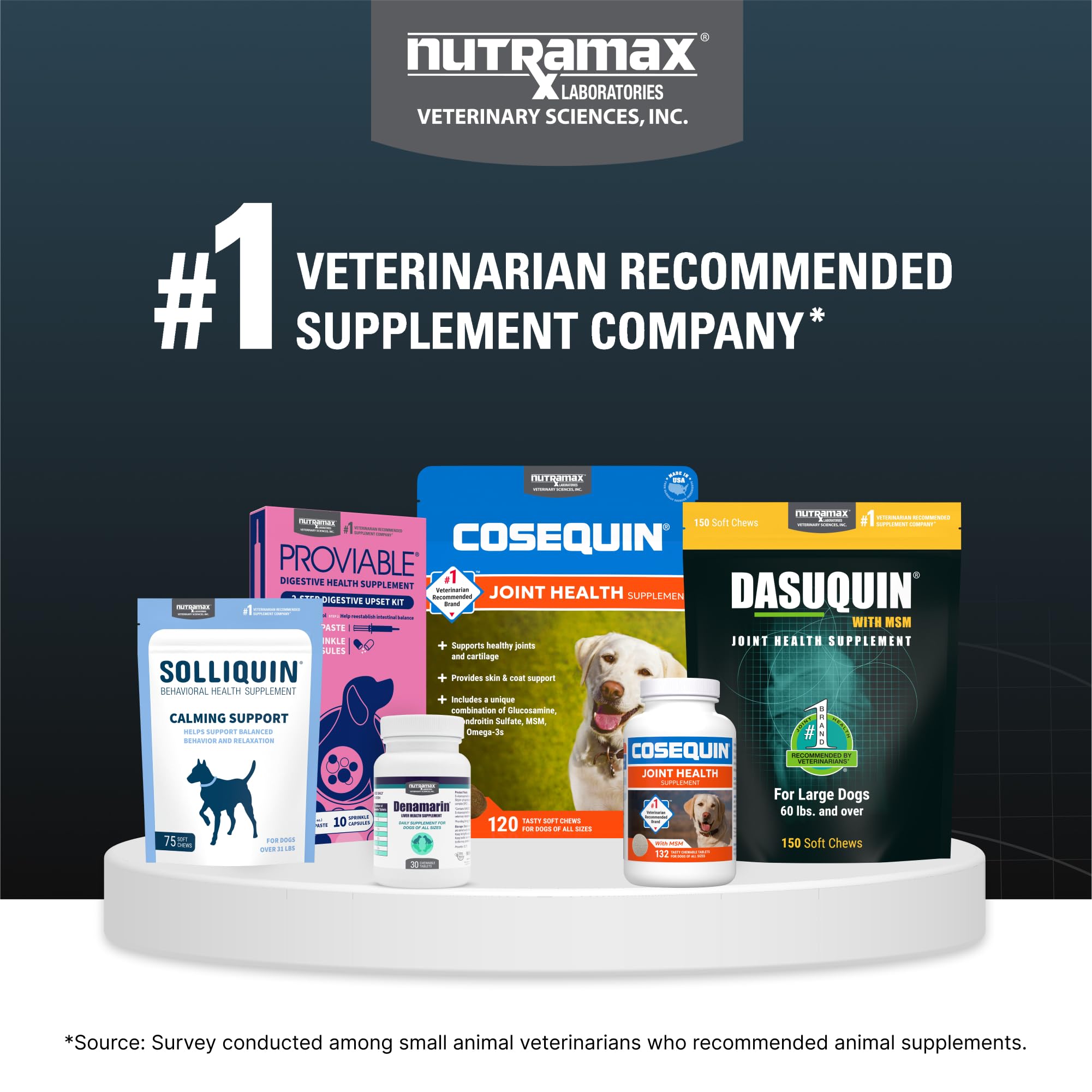 Nutramax Dasuquin large dogs bottle labeled Made in USA.