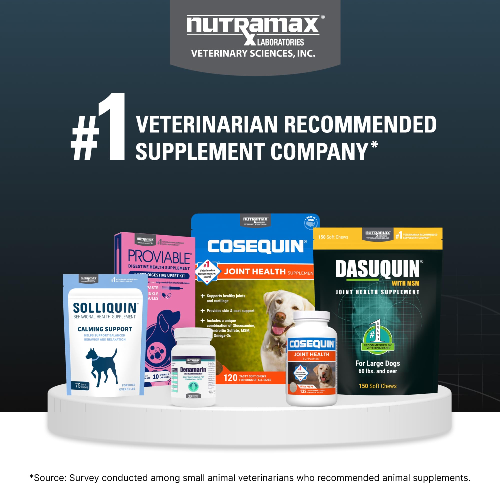 Nutramax Dasuquin bottle with dog-friendly design and label.