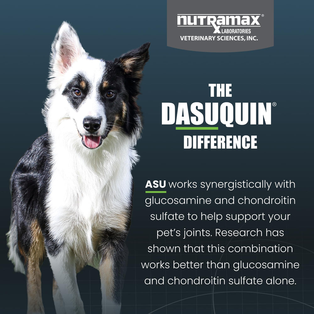 Nutramax Dasuquin quality inspections stamp on packaging.