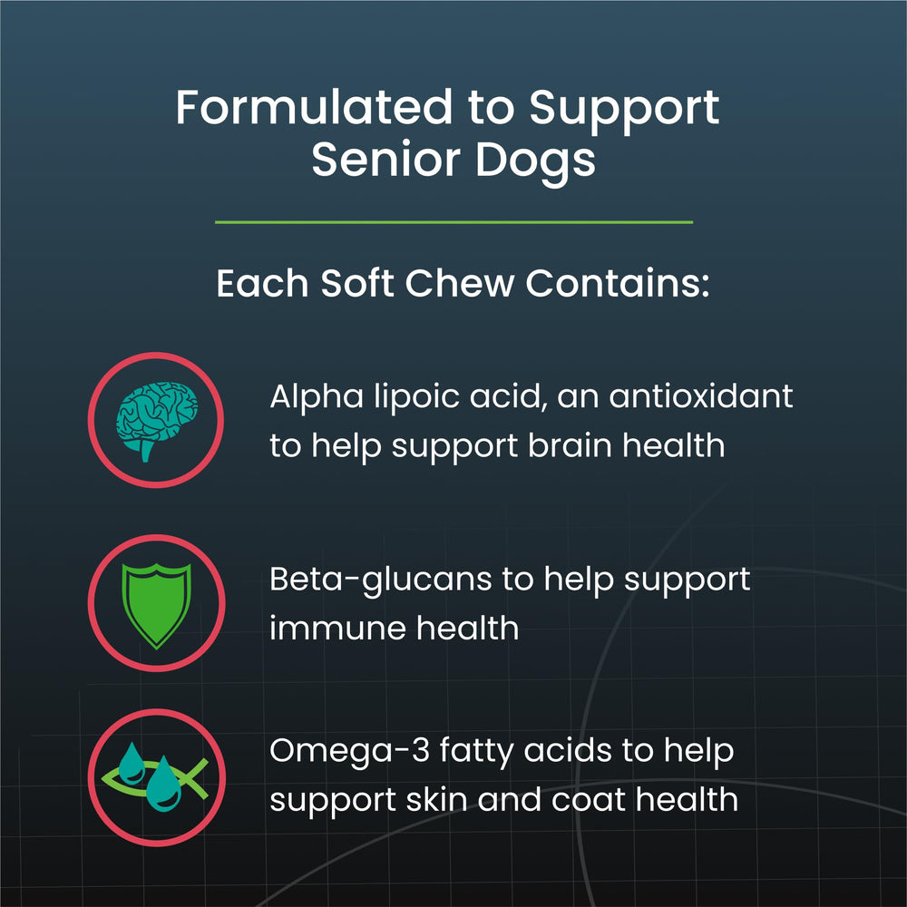 Senior dog enjoying Dasuquin chews as part of daily routine