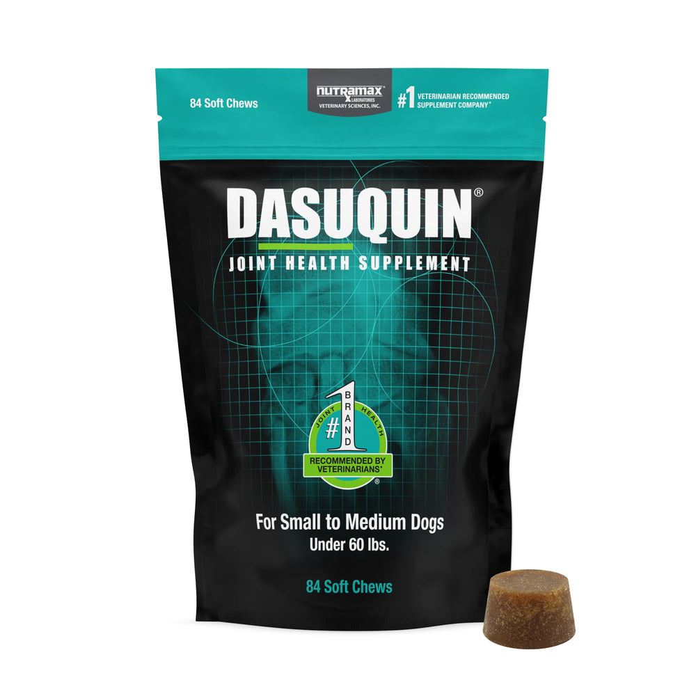 Nutramax Dasuquin soft chews 84-count for daily joint support in dogs.