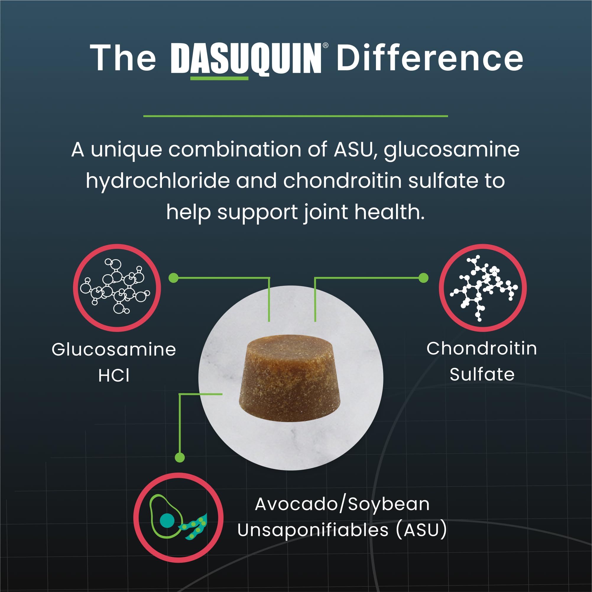 Close-up of Dasuquin soft chew showing texture and palatability