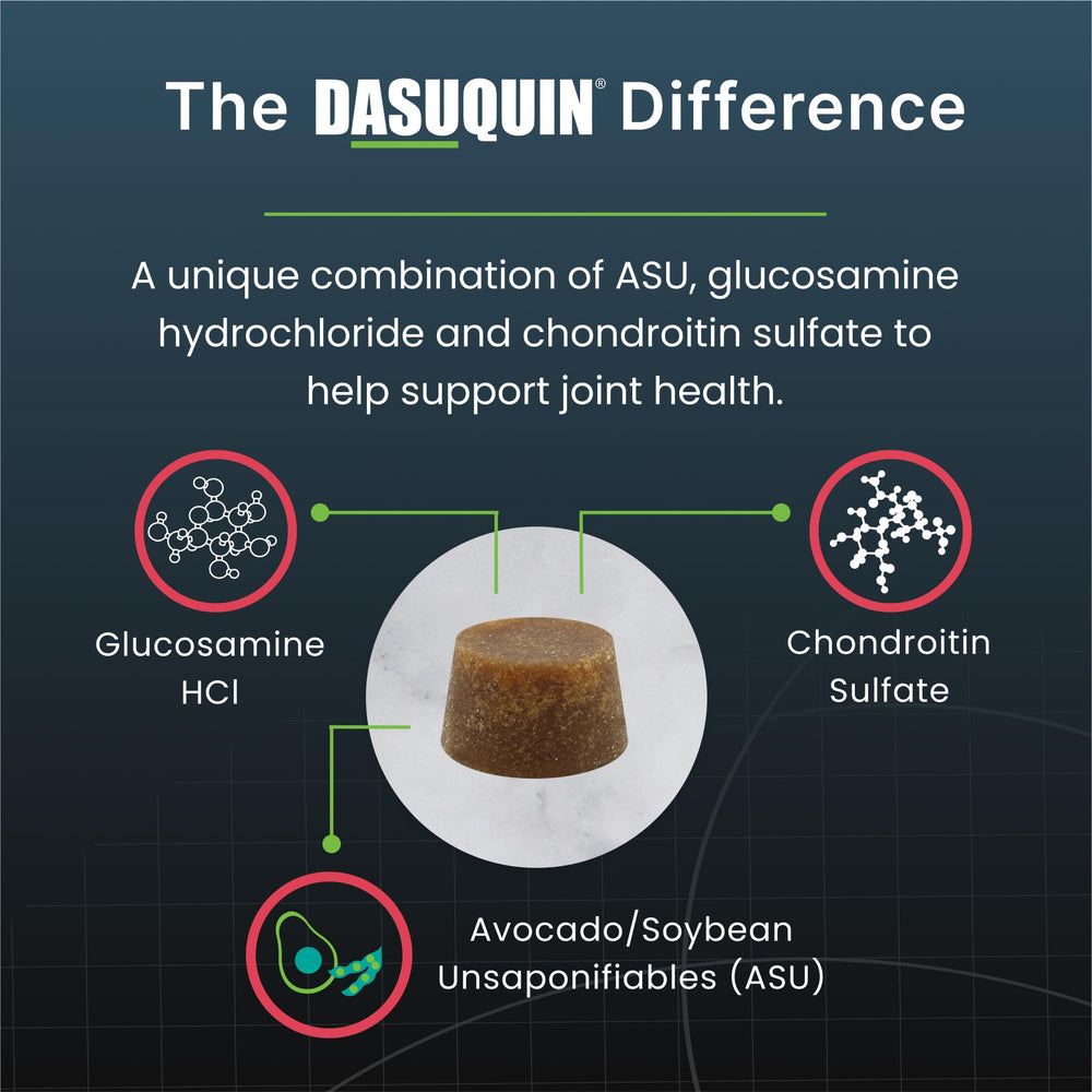 Close-up of Dasuquin soft chew showing texture and palatability