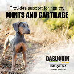 Dasuquin chewable tablets close-up for dogs