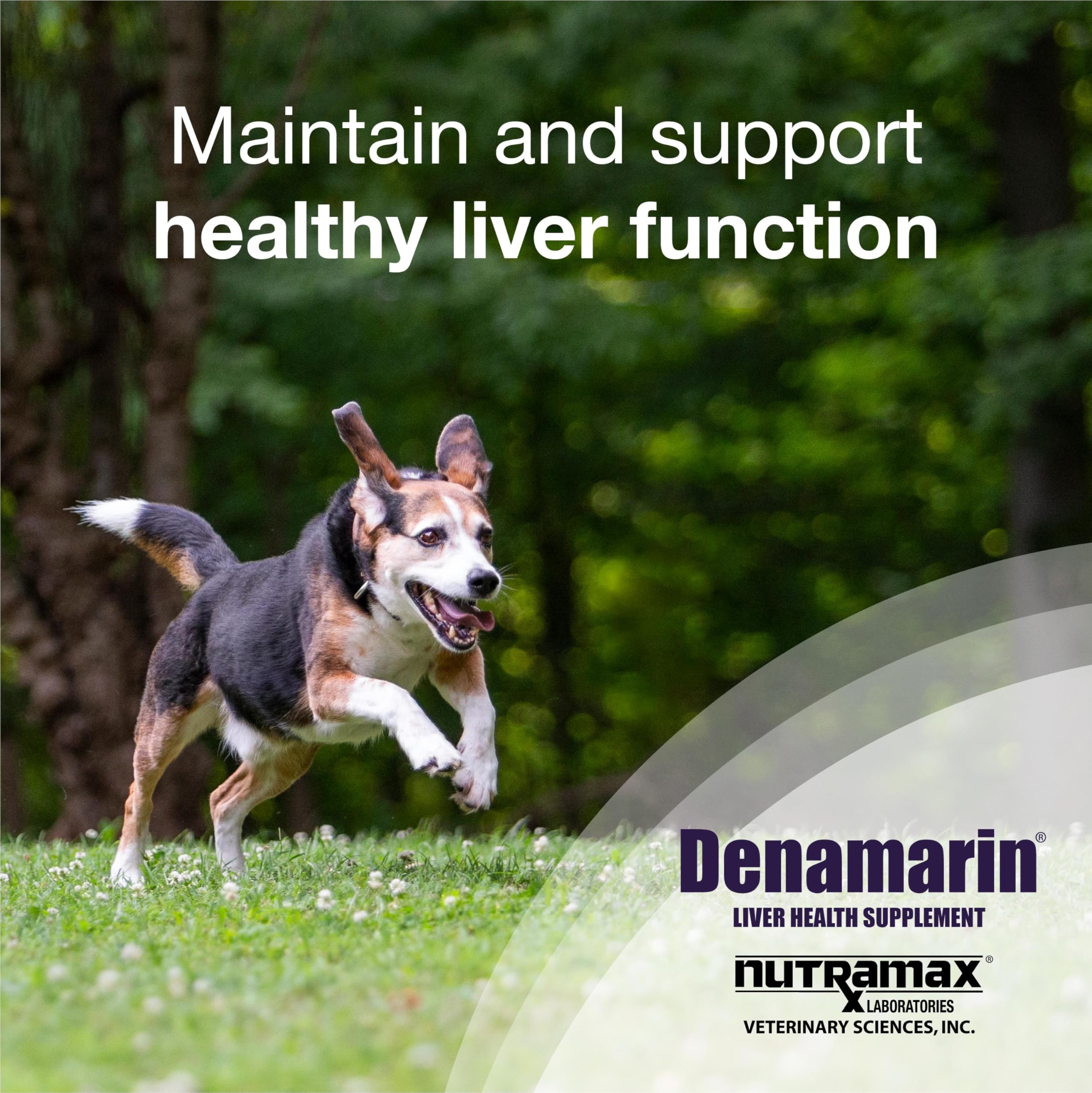 Close-up of Denamarin coated tablet showing enhanced absorption for dogs.