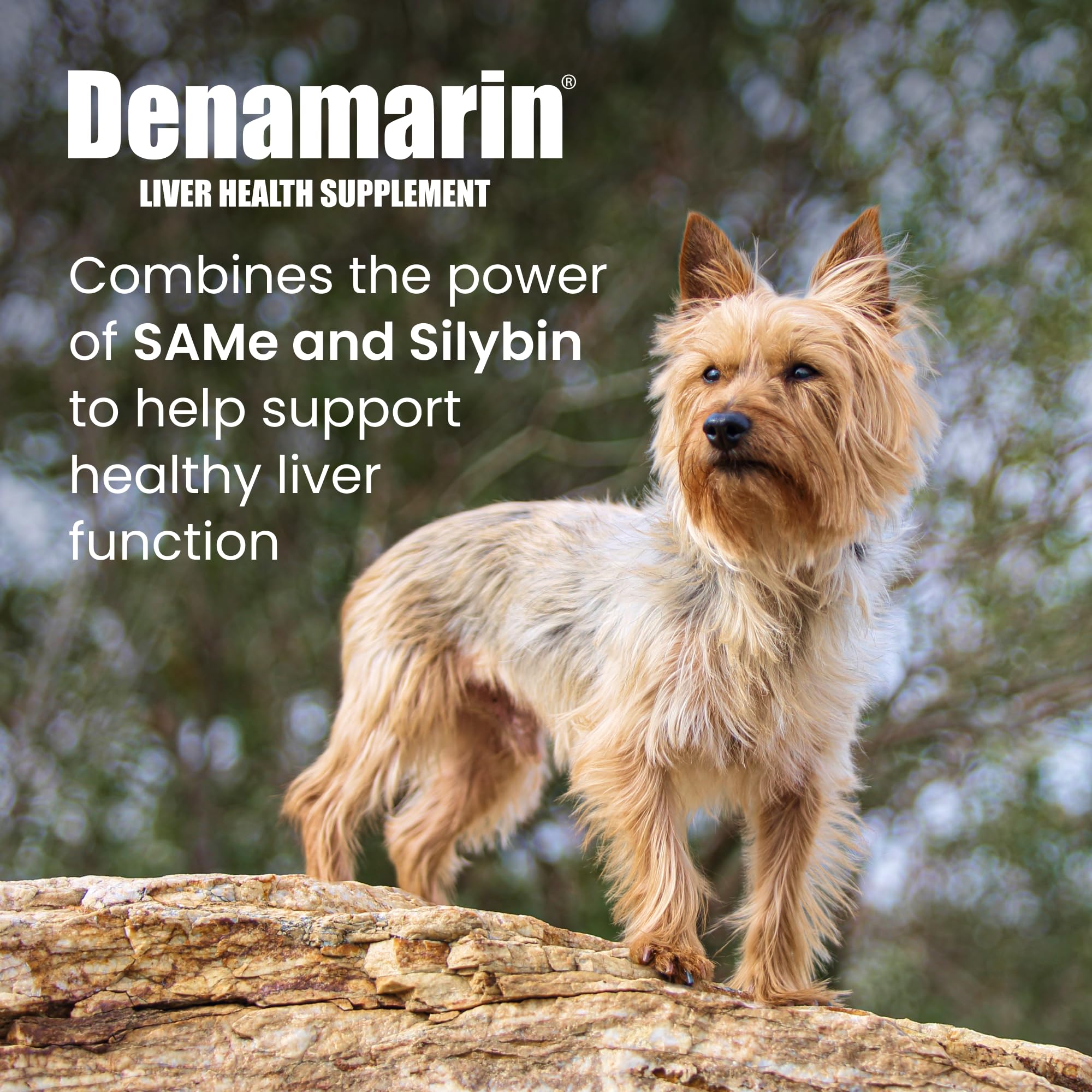 Coated Denamarin tablets close-up showing easy swallowing for pets