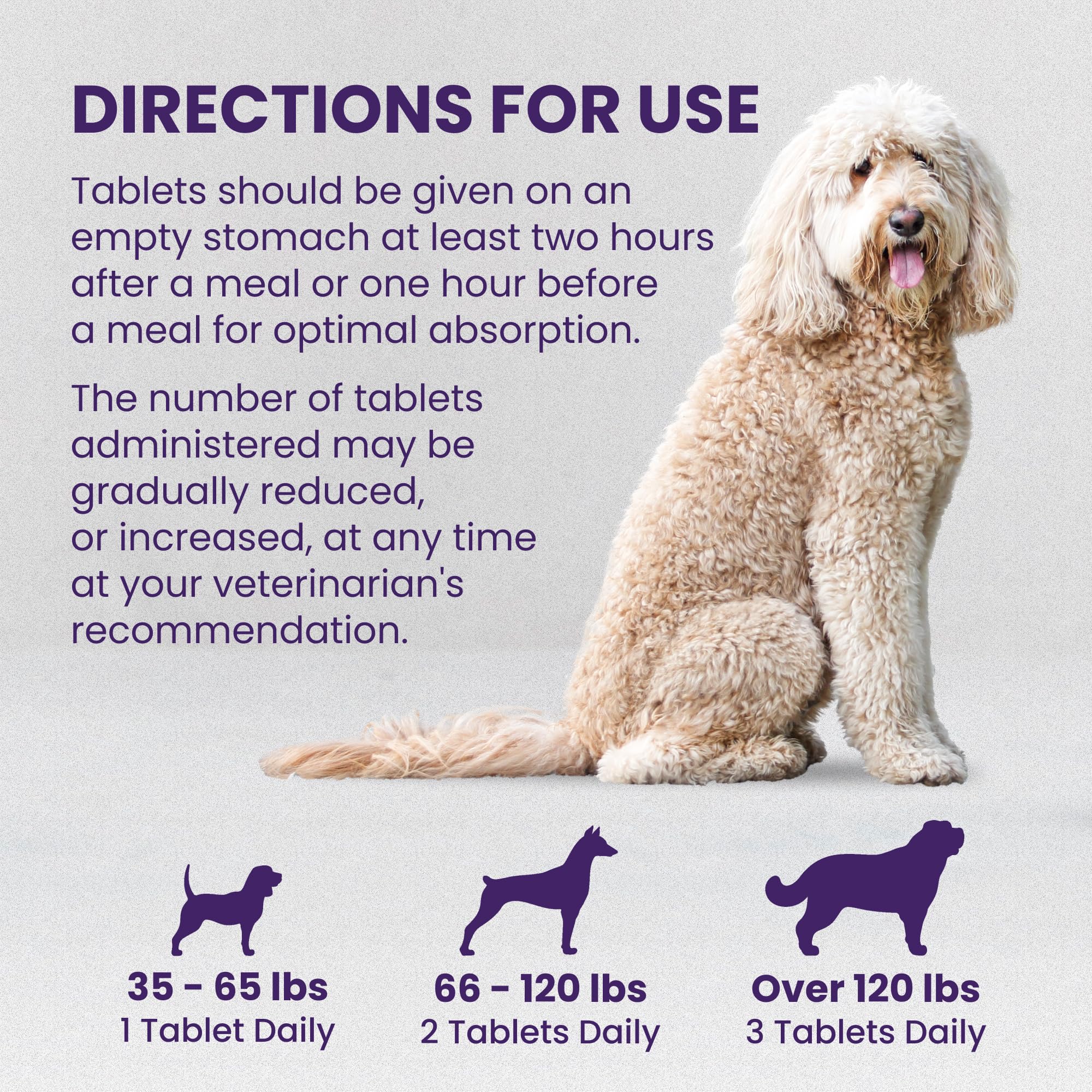 Bottle shown in a dog care setup suggesting routine liver health support.