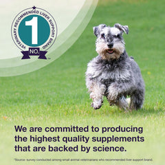 Denamarin label close-up highlighting SAM-e and silybin ingredients.