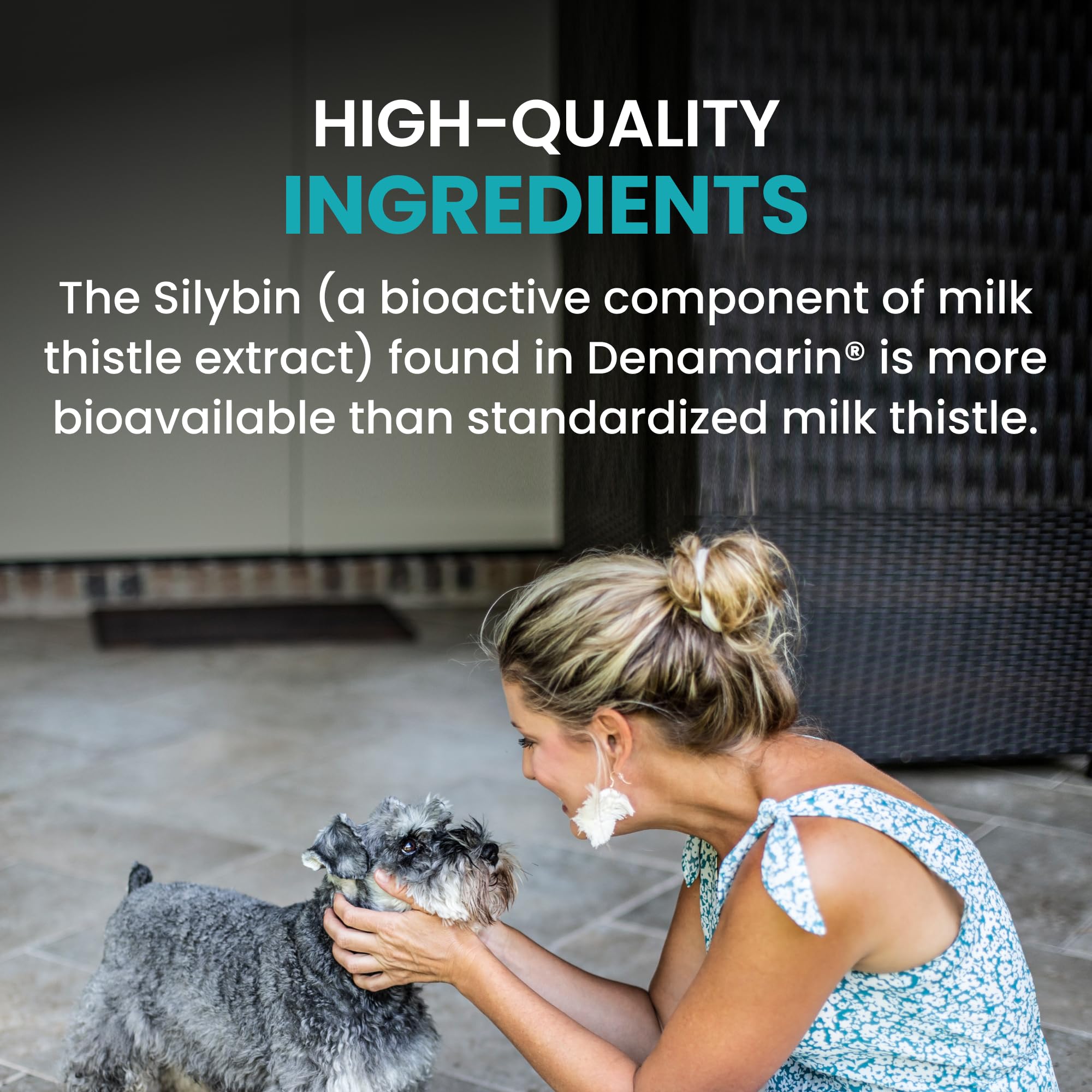 Denamarin label highlights veterinarian approval and safety