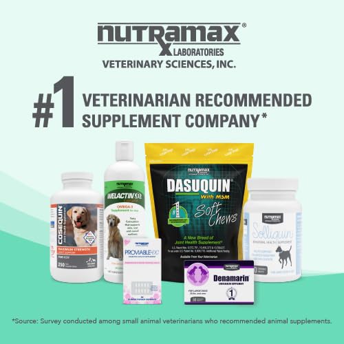 Nutramax Denamarin open bottle with tablets for quick dosing.
