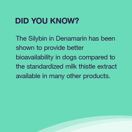 Nutramax Denamarin packaging label close-up with product details.
