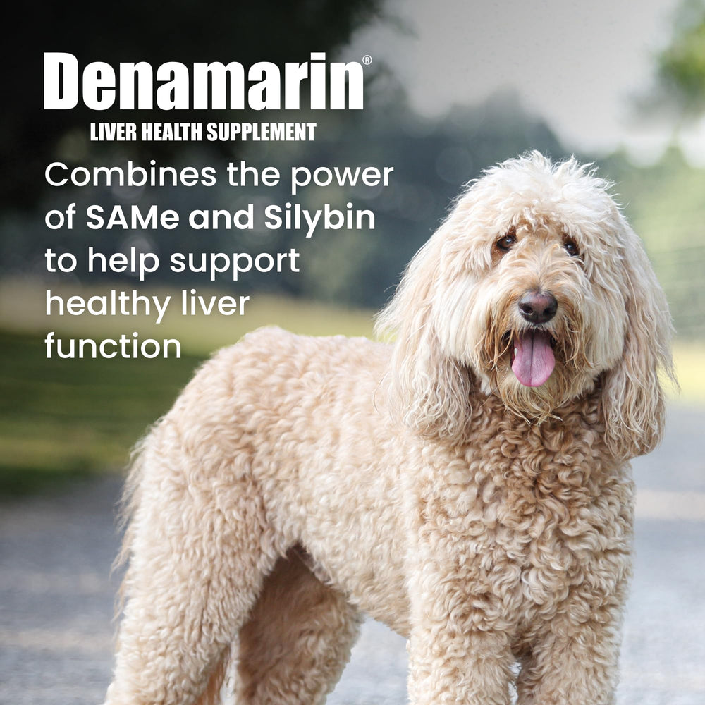 Nutramax Denamarin ingredients panel shows SAMe and silybin for dogs.