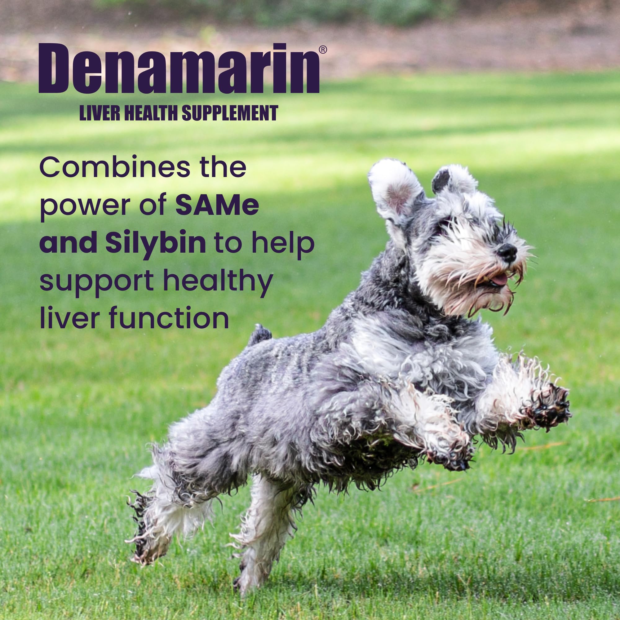 Denamarin coated tablets close-up showing easy daily dosing
