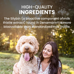 Close-up of Denamarin tablets emphasizing coating and dog-friendly formula.