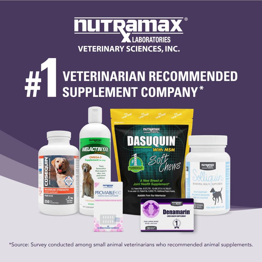 Nutramax Denamarin packaging in a veterinary setting for trusted use.