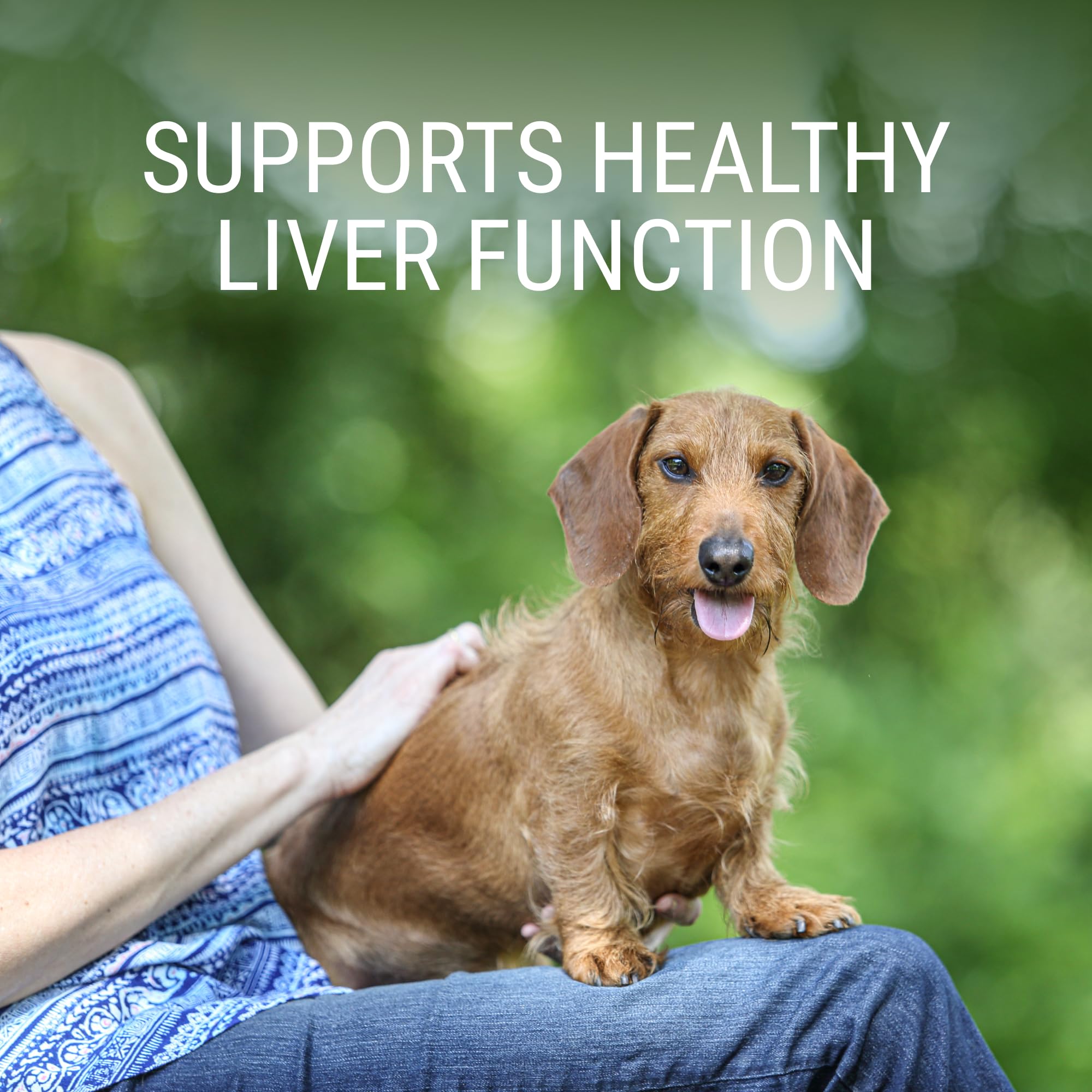 Nutramax Denosyl tablets close-up highlighting stabilized SAMe for daily canine use.