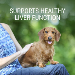 Nutramax Denosyl tablets close-up highlighting stabilized SAMe for daily canine use.