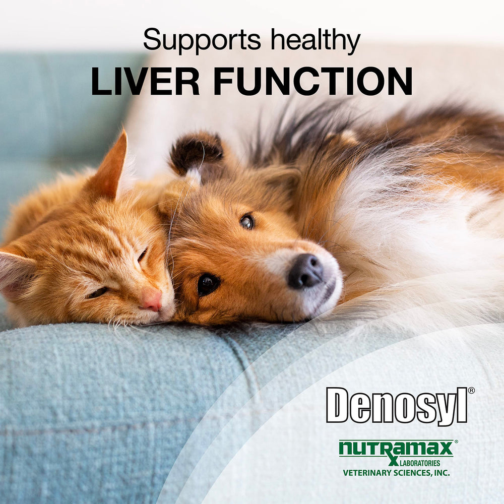 Nutramax Denosyl enteric-coated tablet closeup supports delivery for dogs and cats.