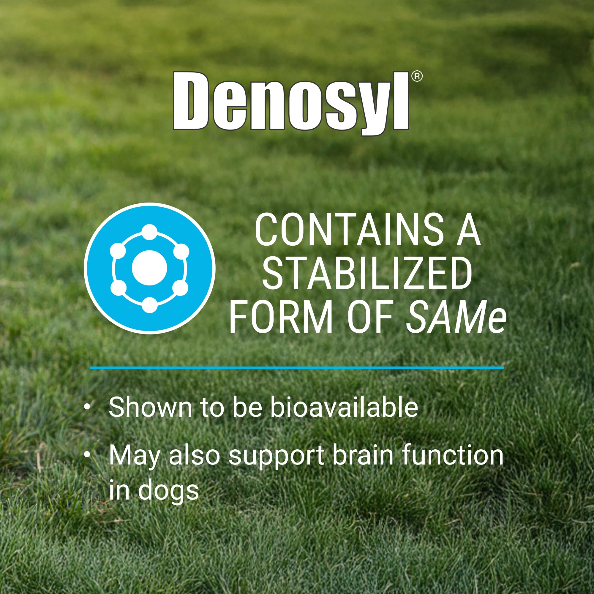 Detail of the enteric coating on Denosyl tablets.