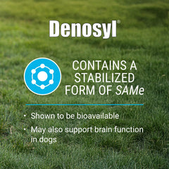 Detail of the enteric coating on Denosyl tablets.