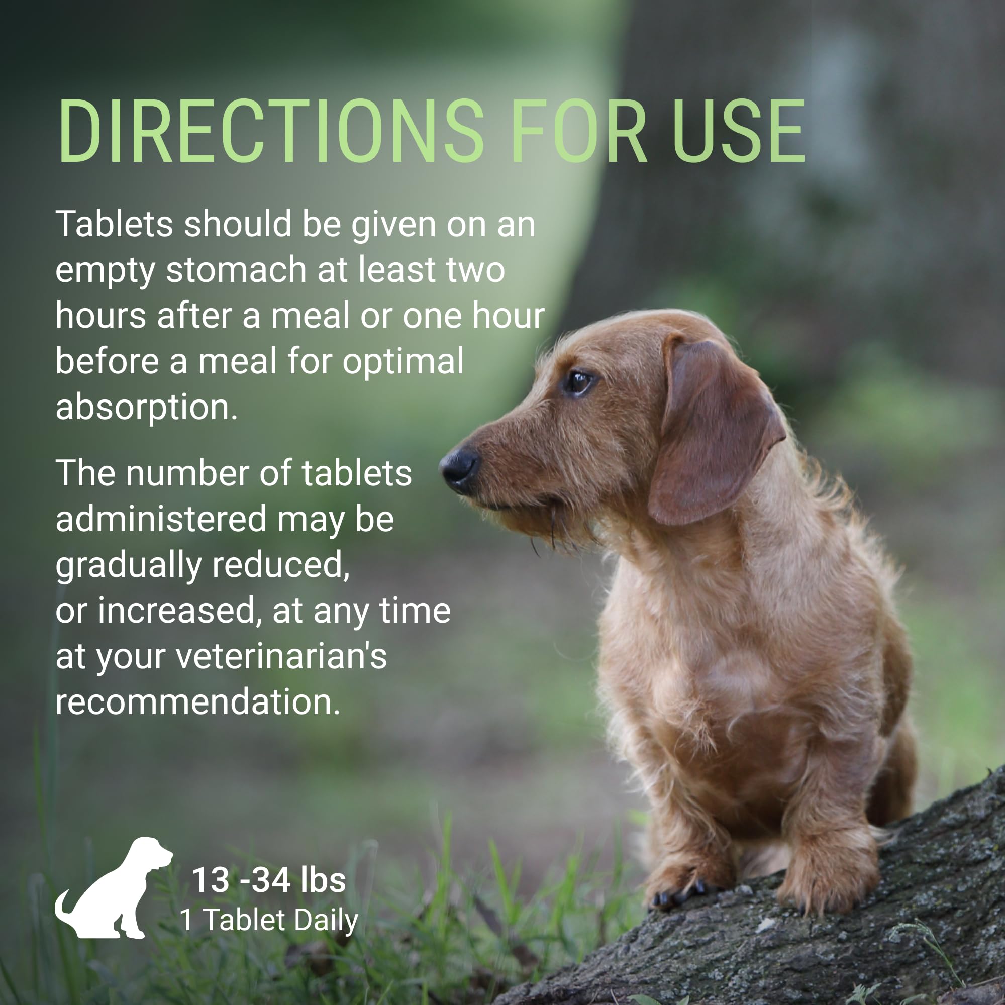 Nutramax Denosyl packaging and insert reflecting veterinary recommendations.