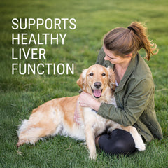 Close-up of Denosyl enteric-coated tablets for dogs.