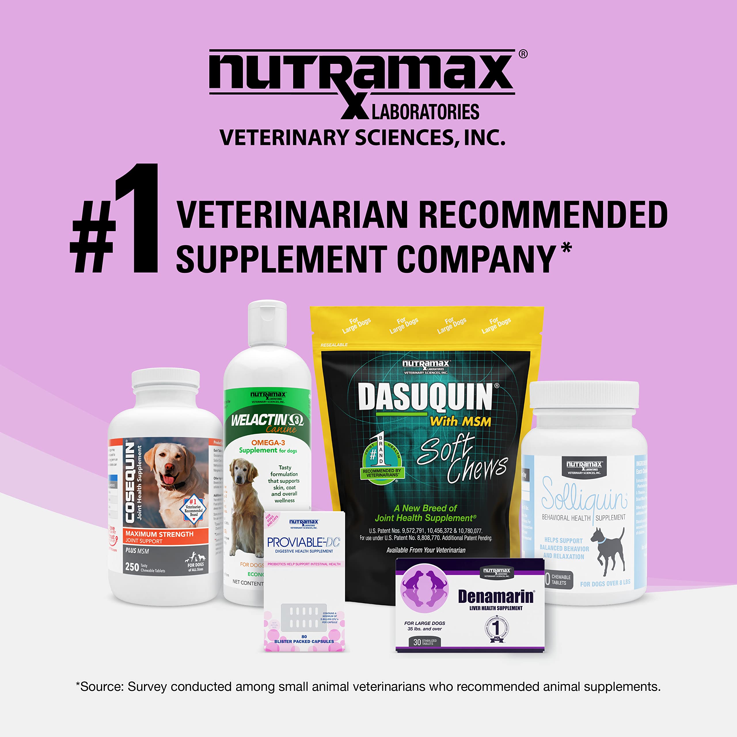 Nutramax Denosyl from a veterinarian-recommended supplement company.