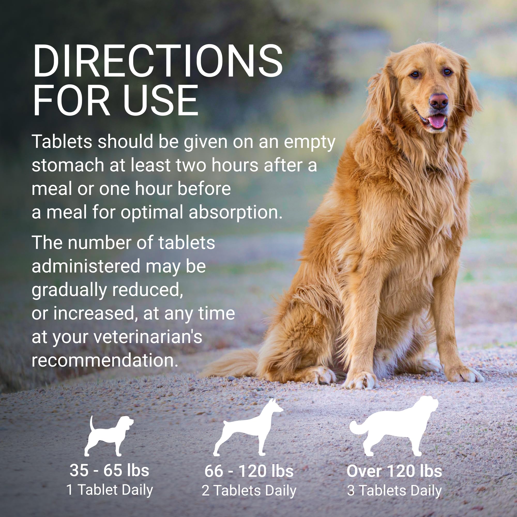 Packaging emphasizes Denosyl as a veterinarian-recommended product.