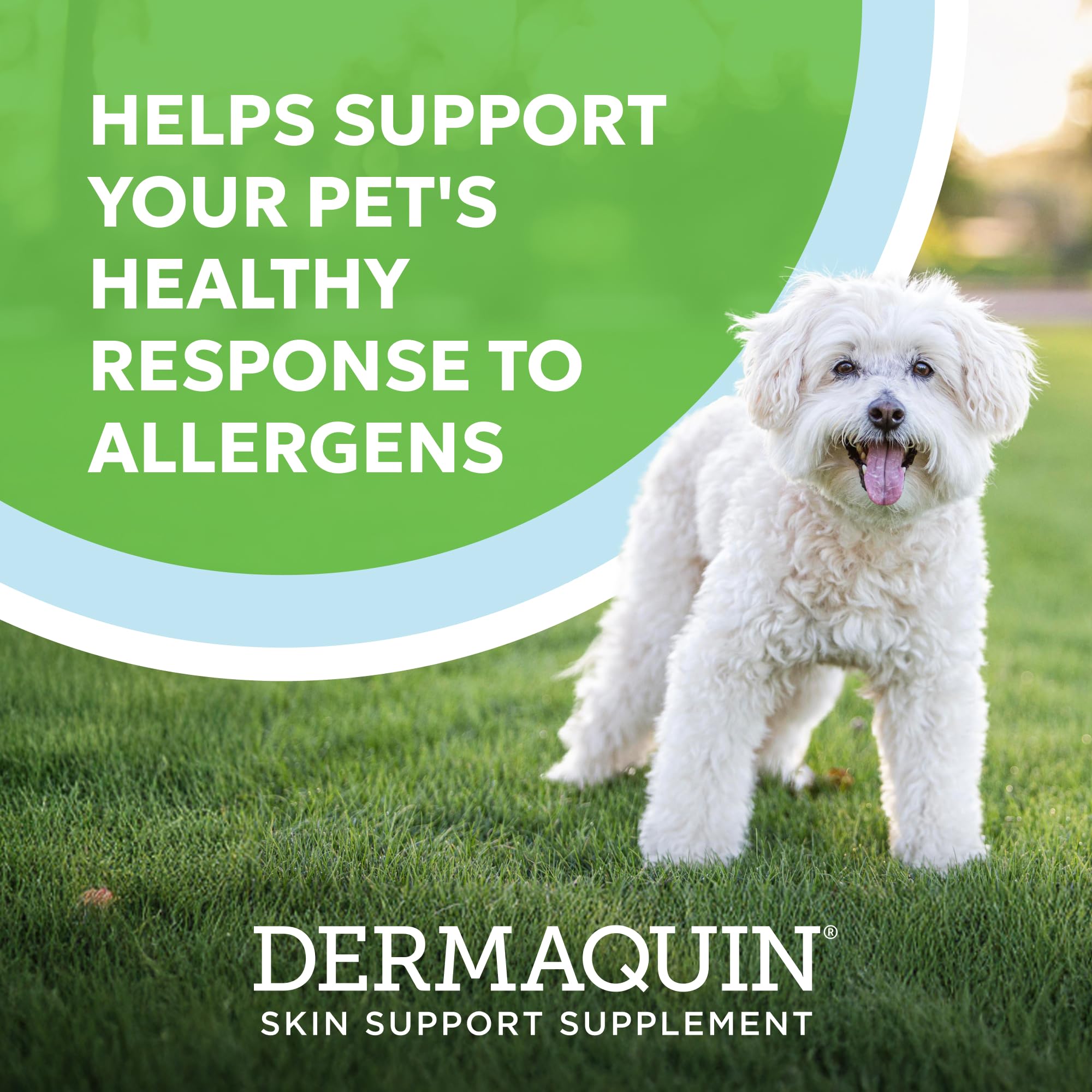 Nutramax Dermaquin hardy kiwi ingredient hints at traditional allergen support.