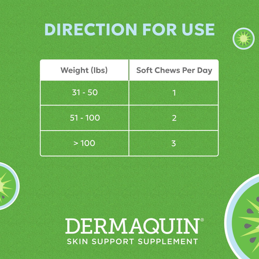 Large dog-friendly chew time with Dermaquin as part of routine.