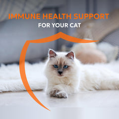 Nutramax Imuquin astaxanthin and beta-glucan close-up of key ingredients.