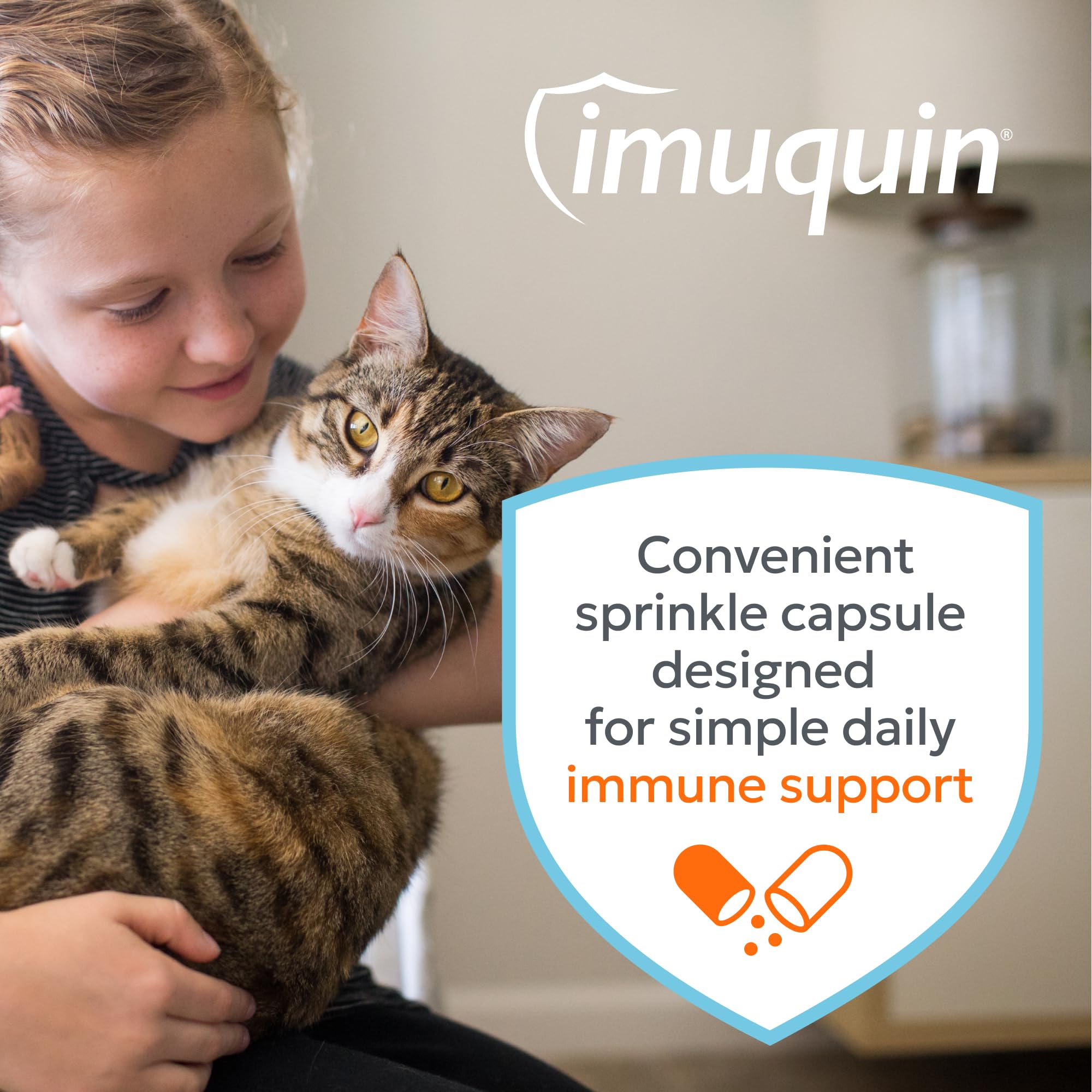 Nutramax Imuquin cat relaxes after daily immune support routine.