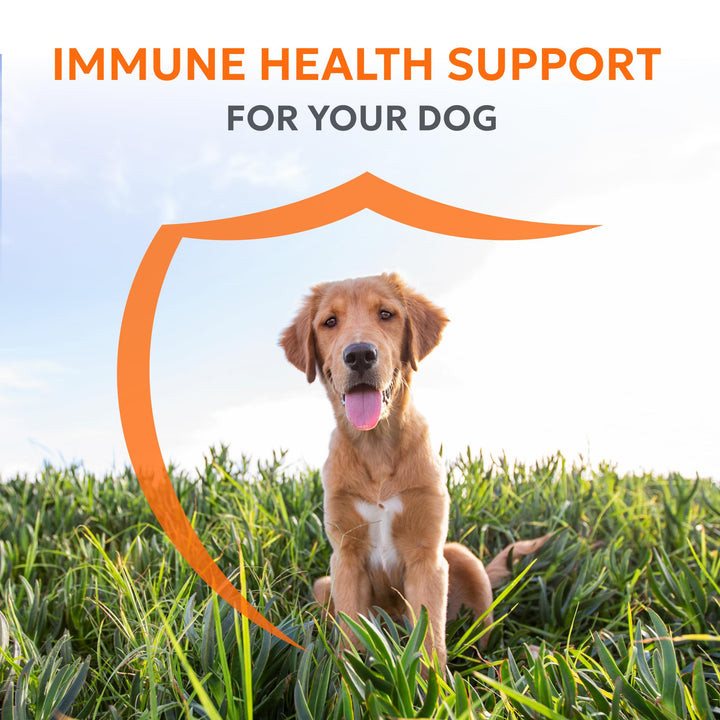 Nutramax Imuquin label highlighting beta glucans and omega-3 benefits