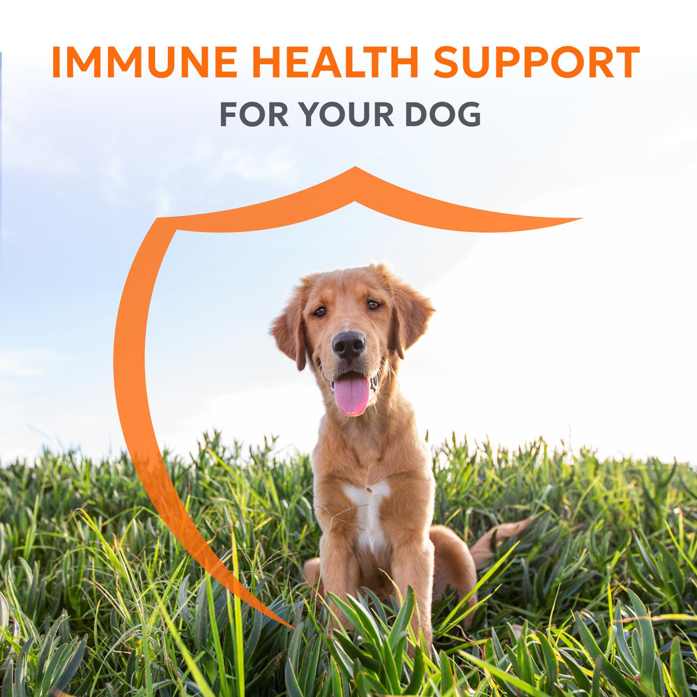 Nutramax Imuquin label highlighting beta glucans and omega-3 benefits