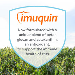 Nutramax Imuquin packaging label close-up highlighting quality and capsule count.