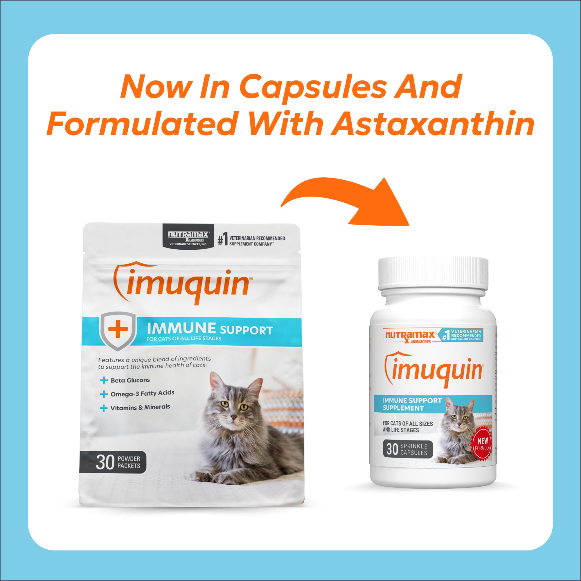 Nutramax Imuquin sprinkle capsules poured on cat food for easy dosing.