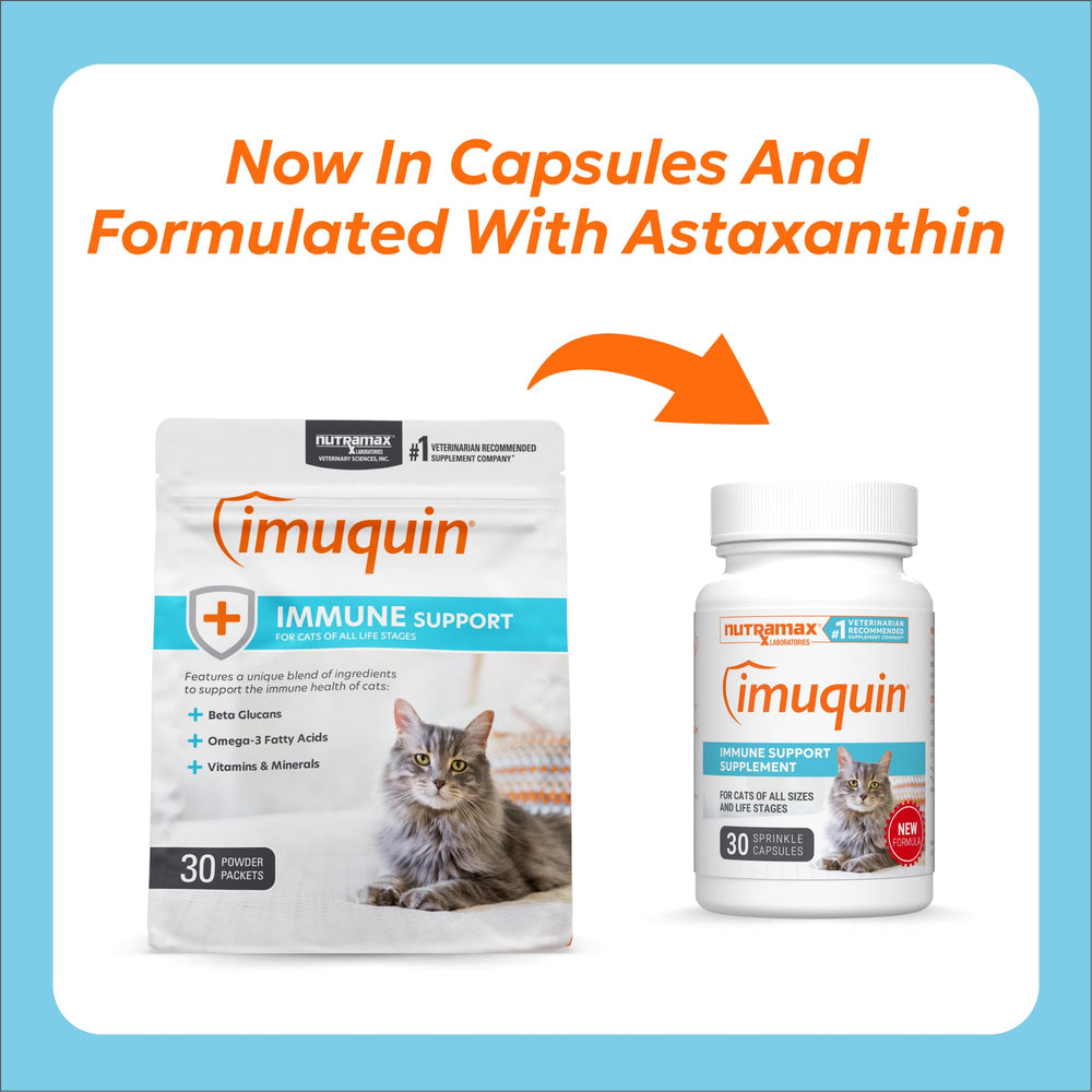 Nutramax Imuquin sprinkle capsules poured on cat food for easy dosing.