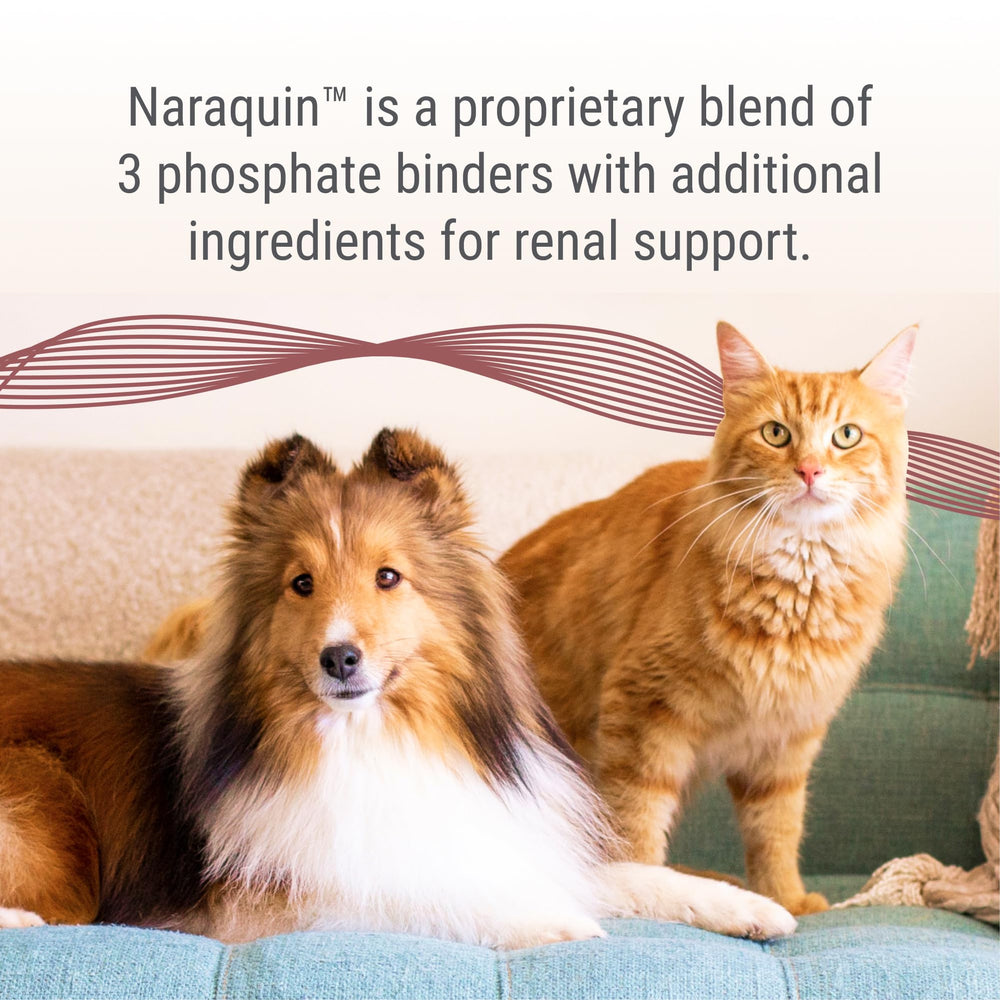 Nutramax NARAQUIN capsules on food bowl demonstrate convenient administration.