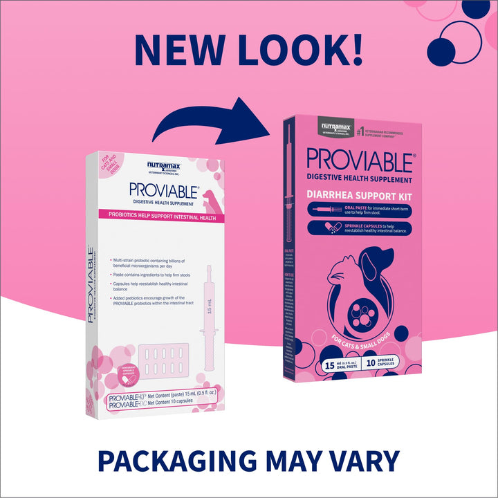 Nutramax Proviable probiotic capsules powder ready to sprinkle on food for gut balance