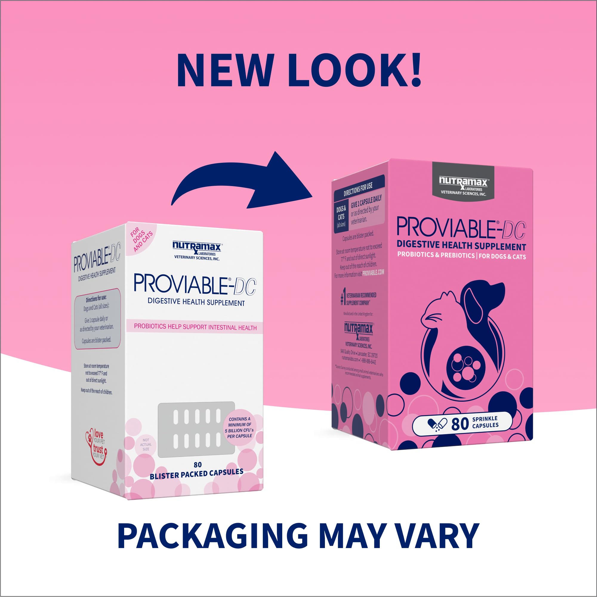 Nutramax Proviable cat capsules bottle showing multi-strain probiotics for digestive support
