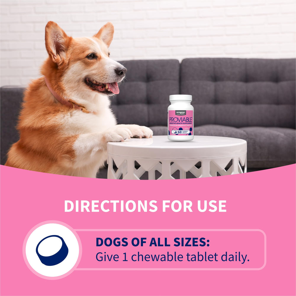 Nutramax Proviable chewables offer easy administration for daily care.