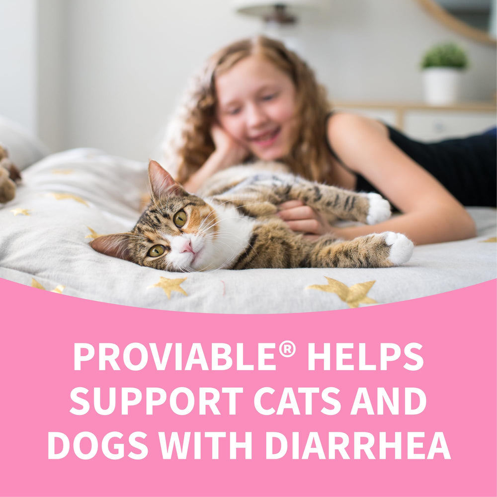 Proviable being added to pet food during diet transition.