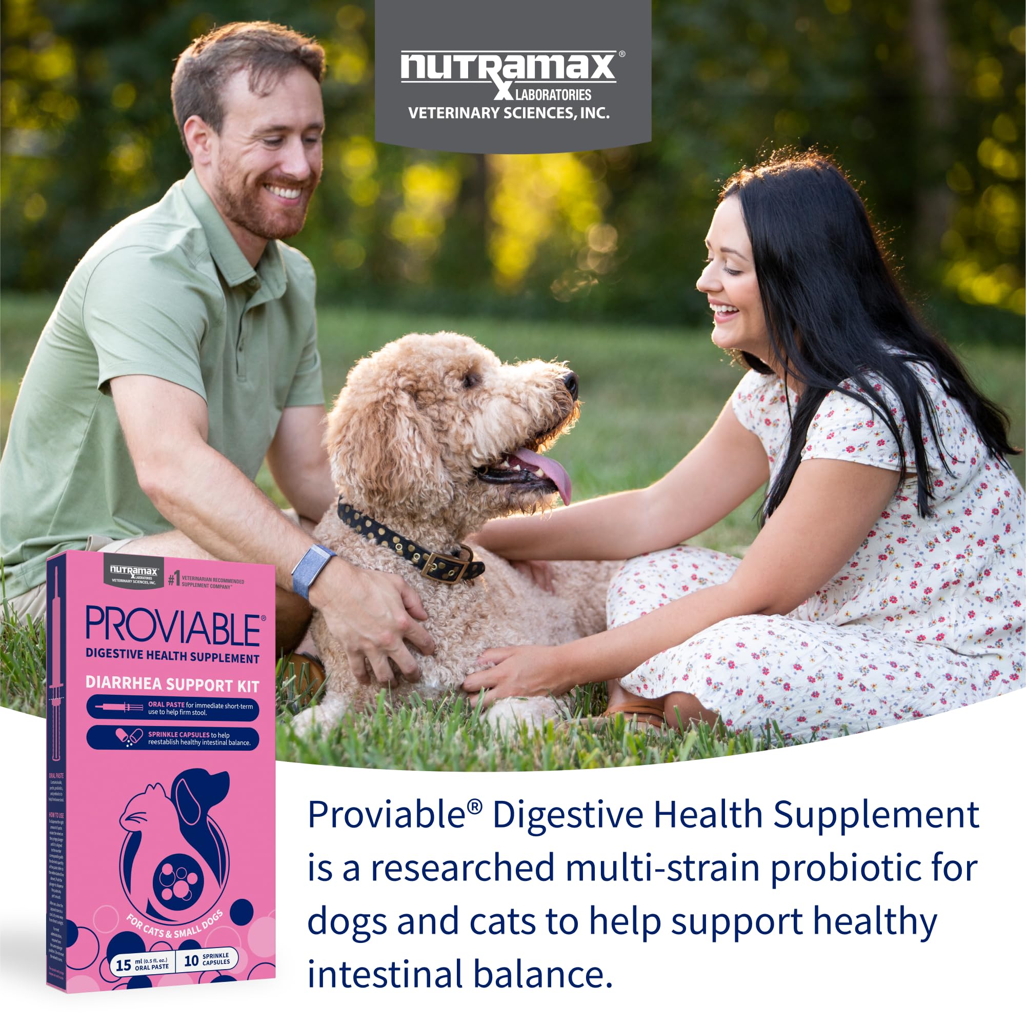Nutramax Proviable kit packaging showing components for at-home use