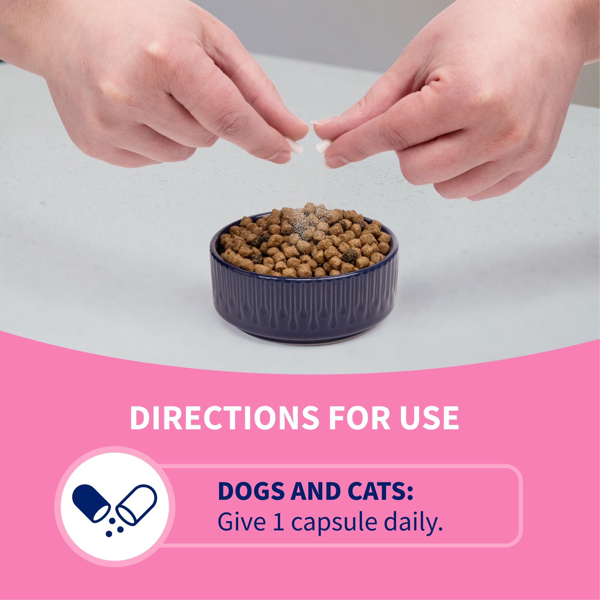 Nutramax Proviable multi-strain formula supports gut health in pets