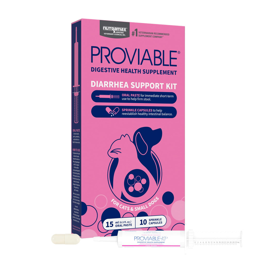 Nutramax Proviable 15ml paste ready for administration to support digestion