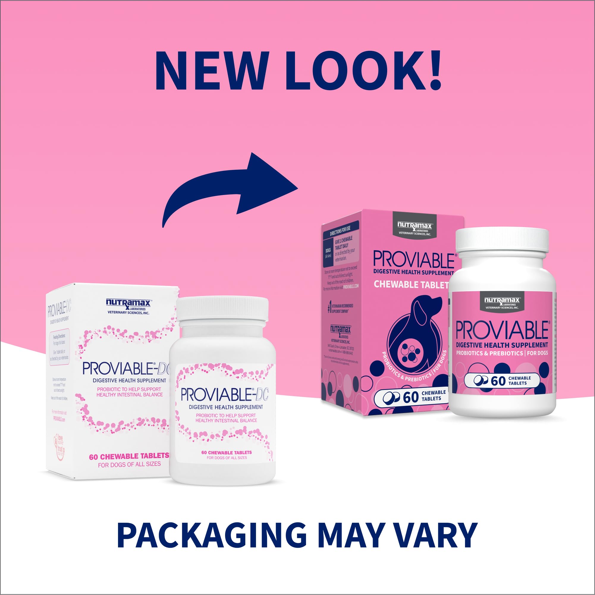 Nutramax Proviable sprinkle capsule for dogs aids easy dosing and digestive support.