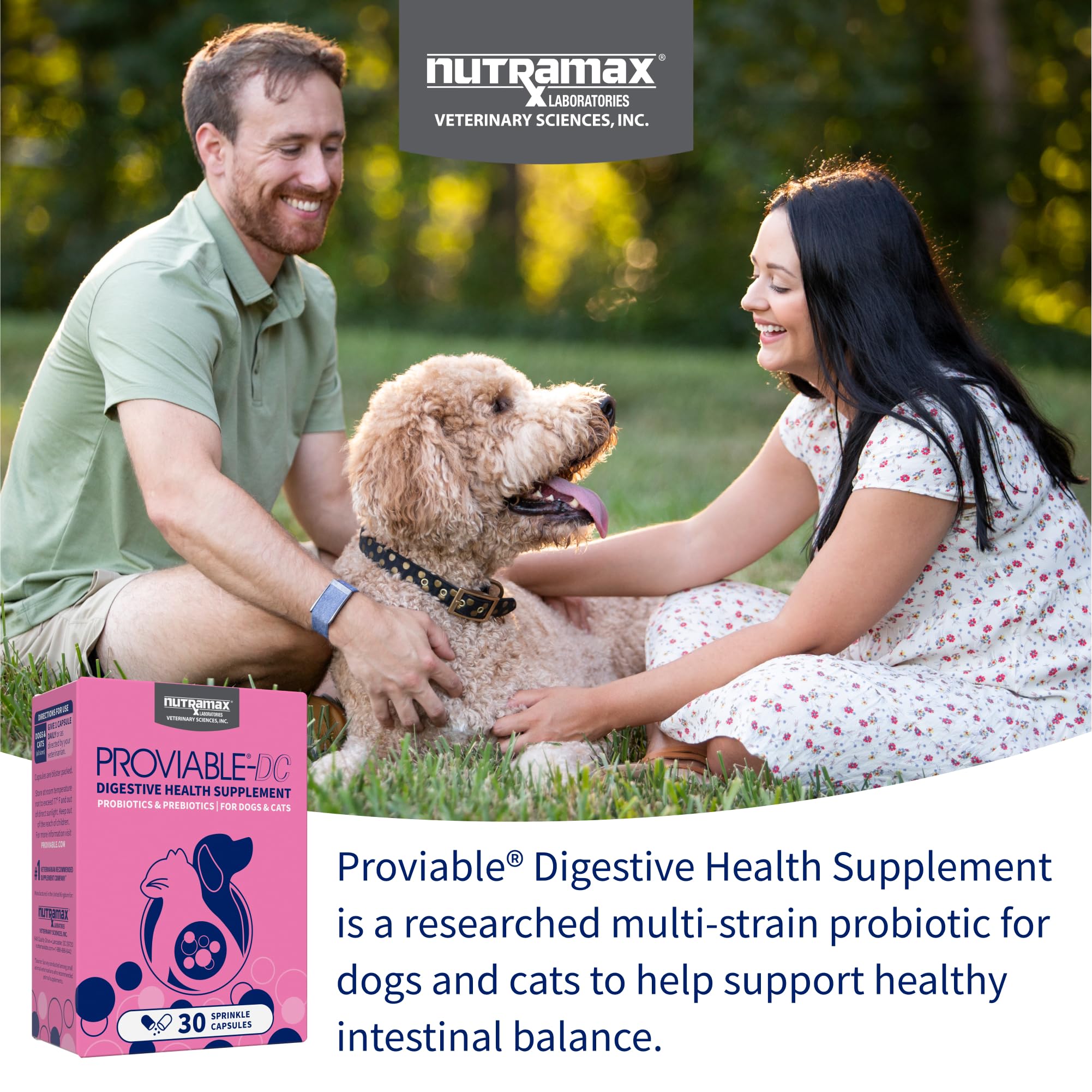 Sprinkling Nutramax Proviable powder onto pet food at mealtime.