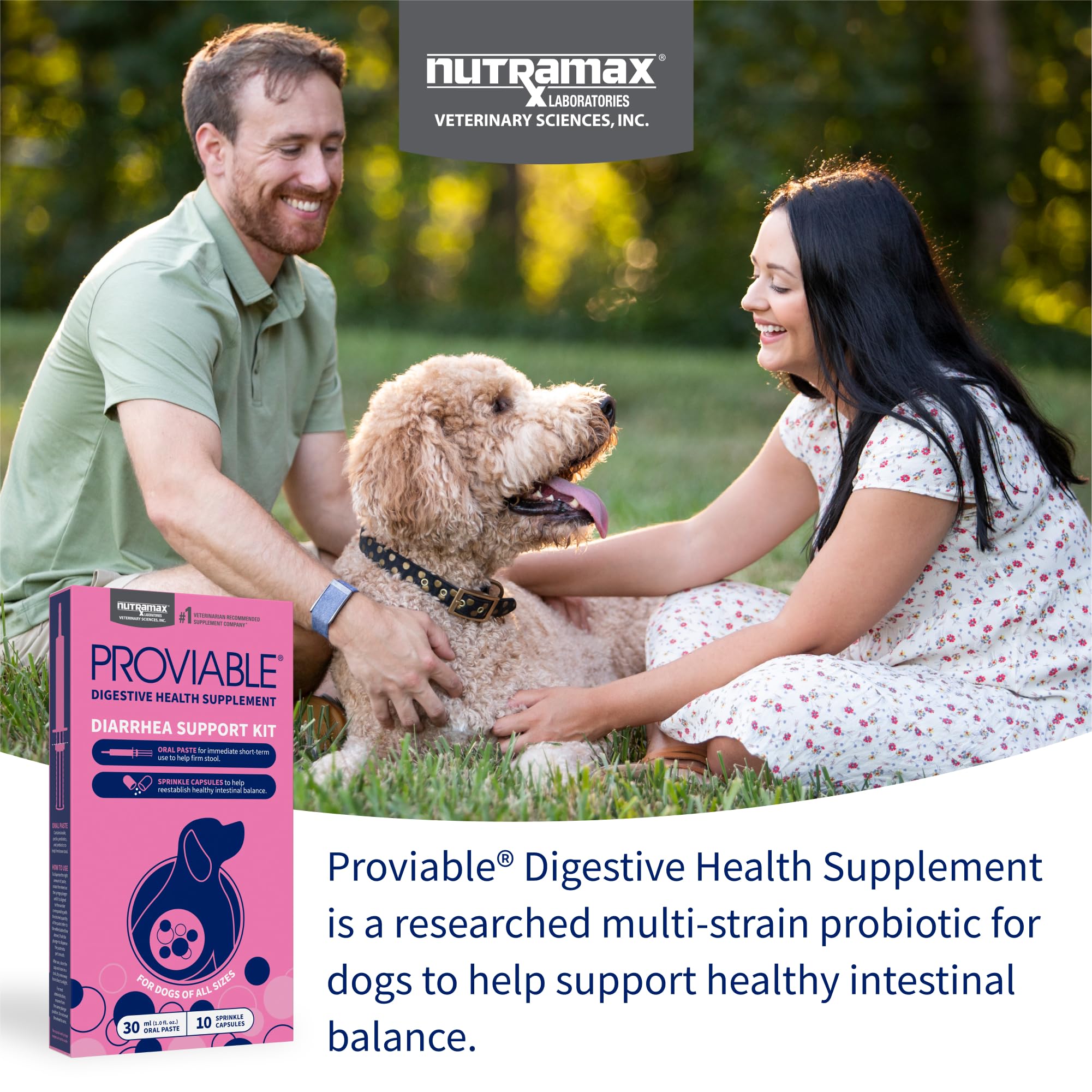 Nutramax Proviable diarrhea support paste syringe for GI comfort