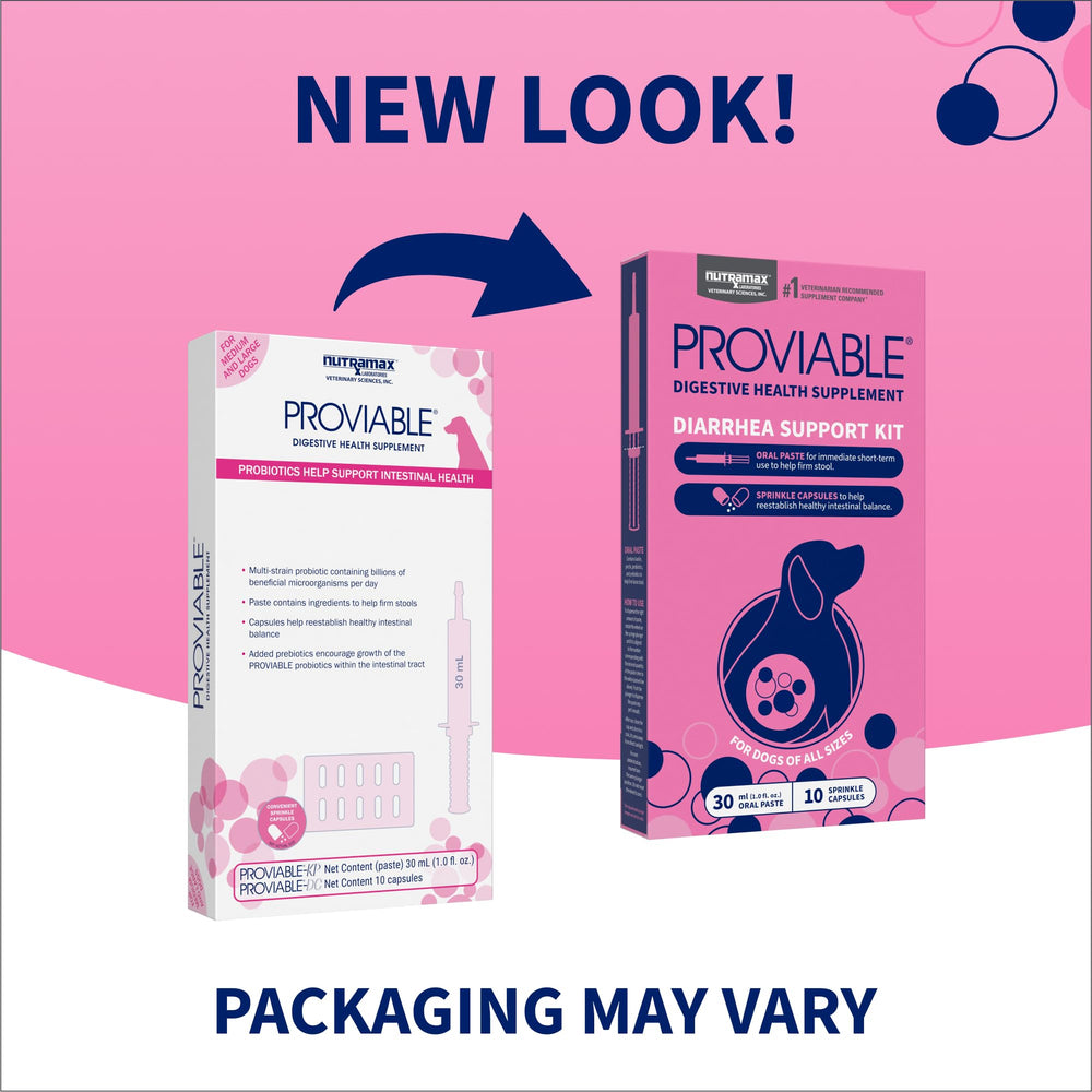 Nutramax Proviable dog probiotics capsules tubes ready to sprinkle on food
